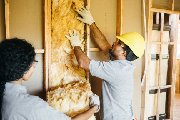 Best Soundproof Insulation  in Calcutta, OH